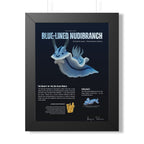 Blue-Lined Nudibranch Framed Poster | Marine Biology Wall Art
