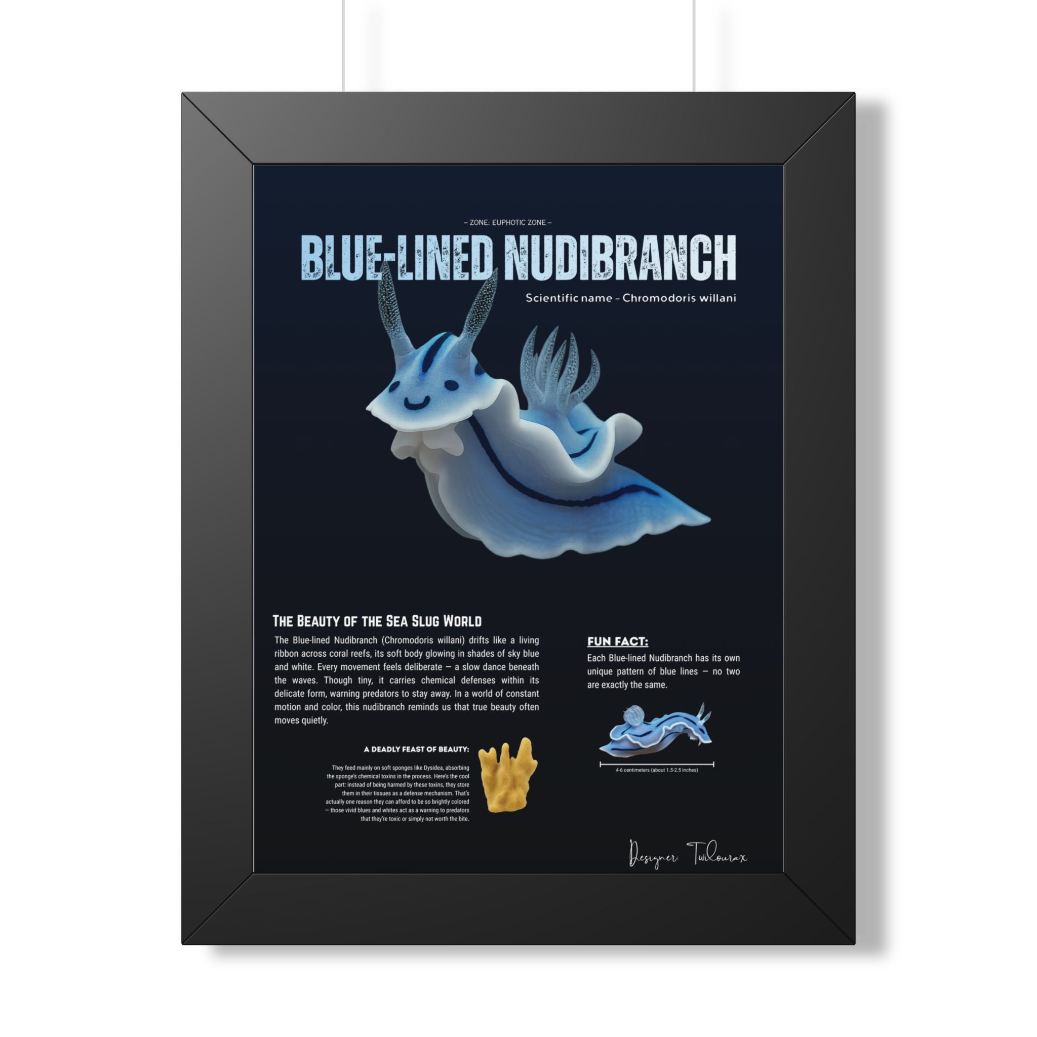 Blue-Lined Nudibranch Framed Poster | Marine Biology Wall Art