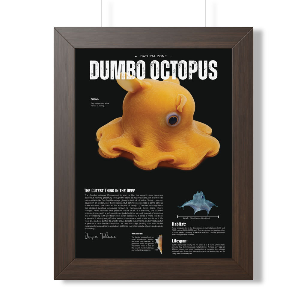 Dumbo Octopus Framed Poster | Marine Biology Wall Art