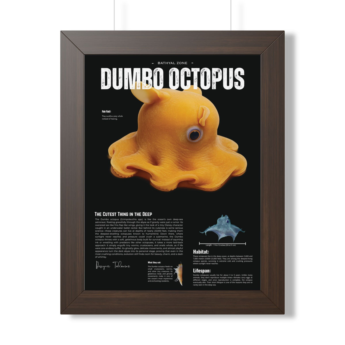 Dumbo Octopus Framed Poster | Marine Biology Wall Art