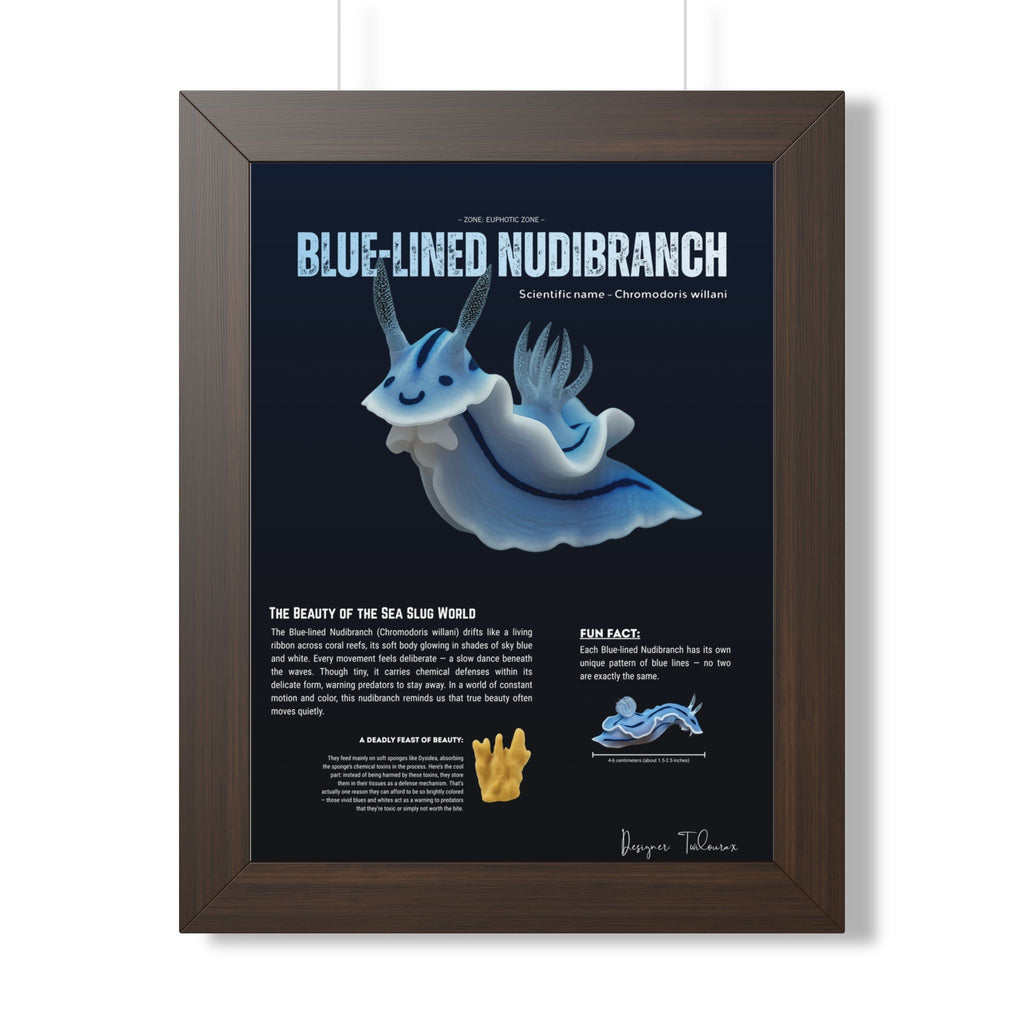 Blue-Lined Nudibranch Framed Poster | Marine Biology Wall Art