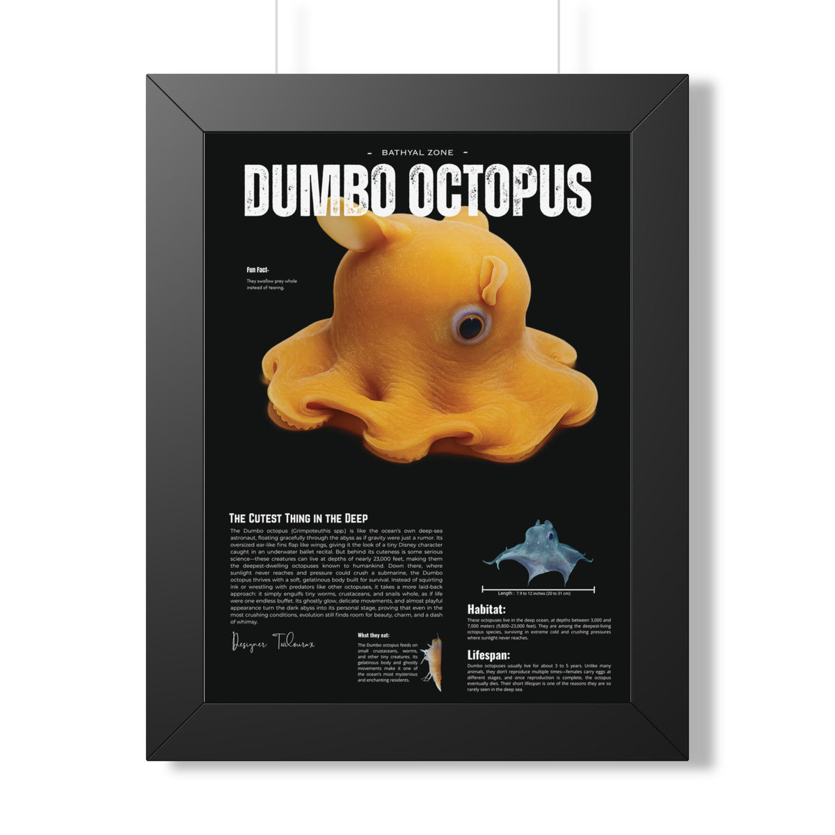 Dumbo Octopus Framed Poster | Marine Biology Wall Art