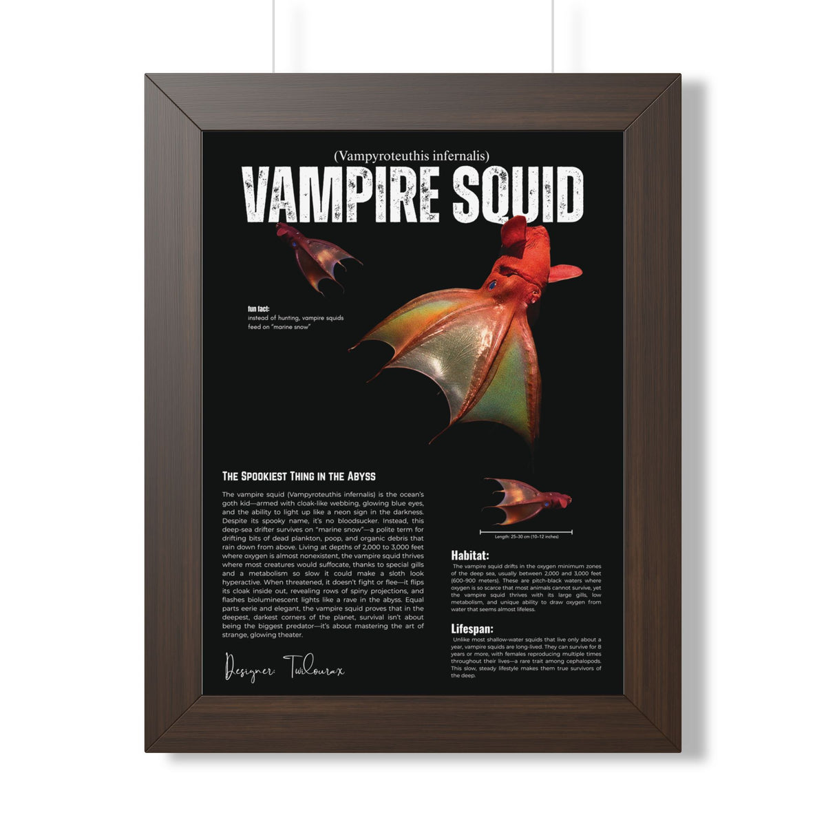 Vampire Squid Framed Poster | Marine Biology Wall Art