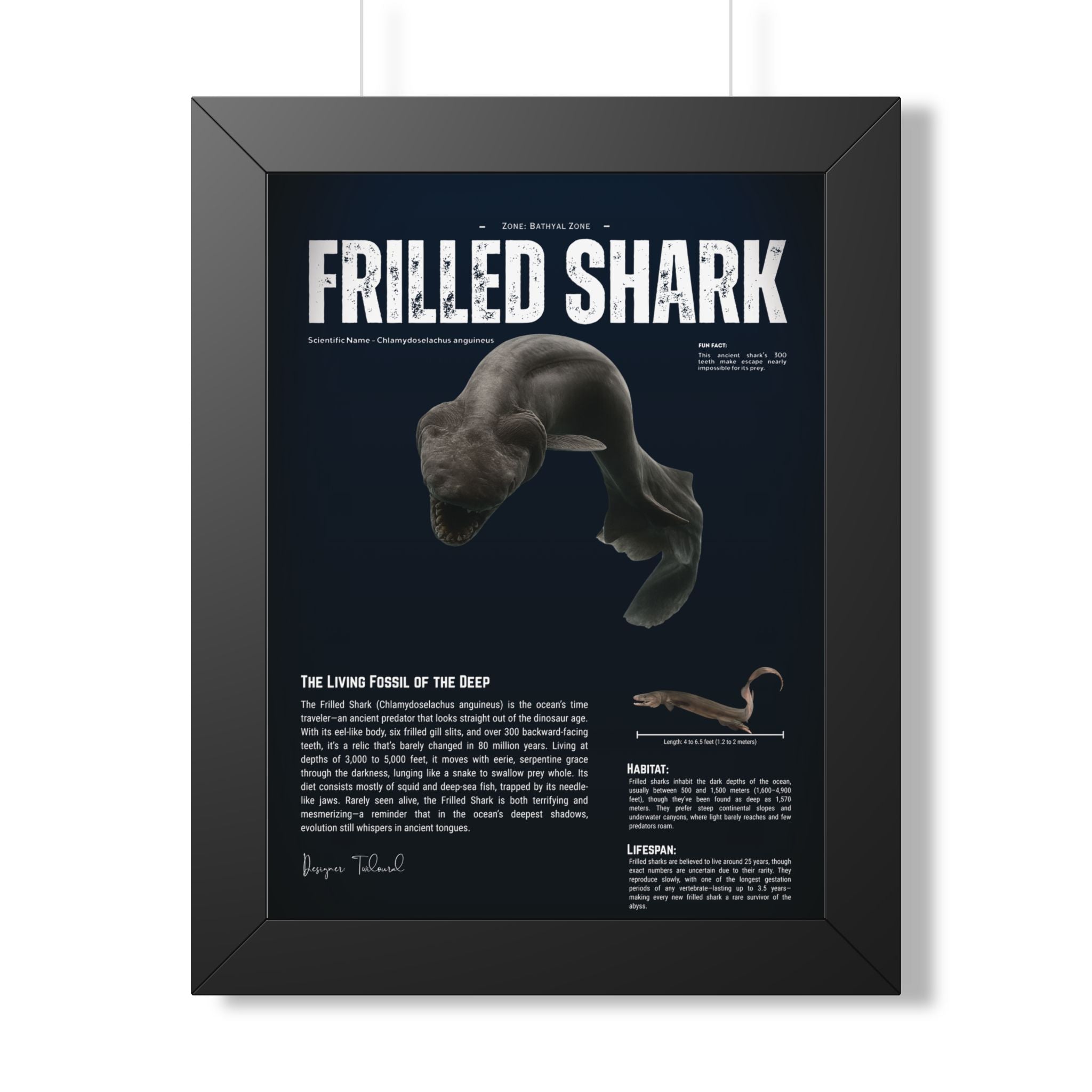 Frilled Shark Framed Poster | Prehistoric Shark Wall Art