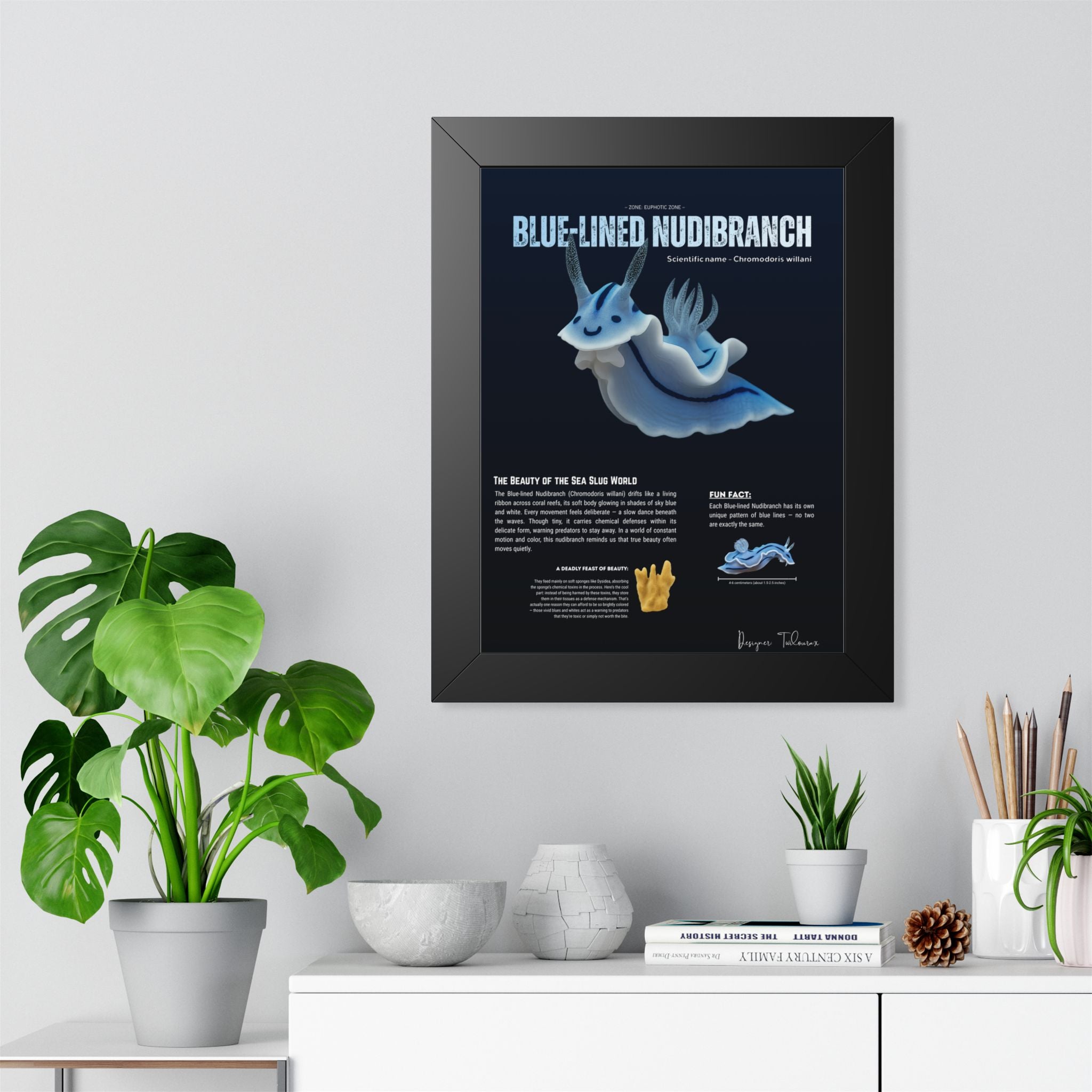Blue-Lined Nudibranch Framed Poster | Marine Biology Wall Art