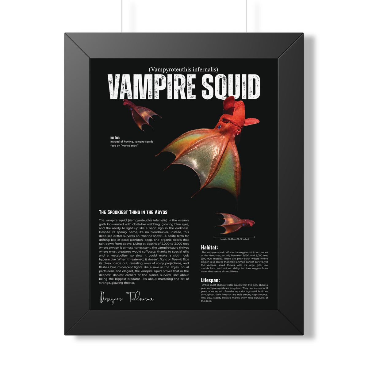 Vampire Squid Framed Poster | Marine Biology Wall Art