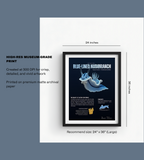 Blue-Lined Nudibranch Matte Poster | Deep-Sea Marine Creature Wall Art | Scientific Illustration | Ocean Biology Educational Print