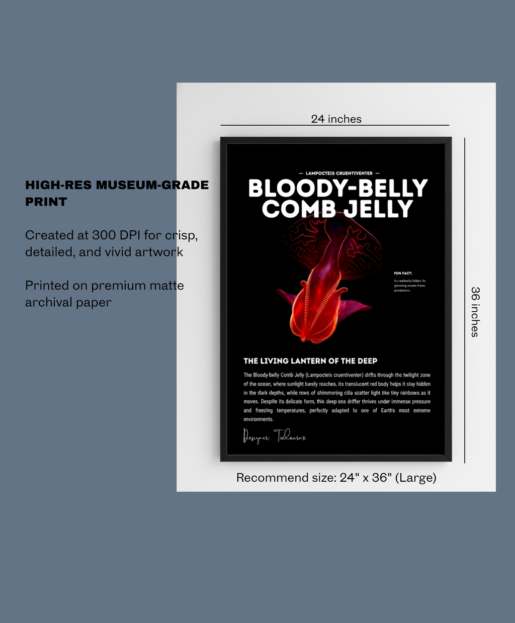 Bloody-Belly Comb Jelly Poster | Deep-Sea Ctenophore Anatomy Wall Art | Marine Biology Print