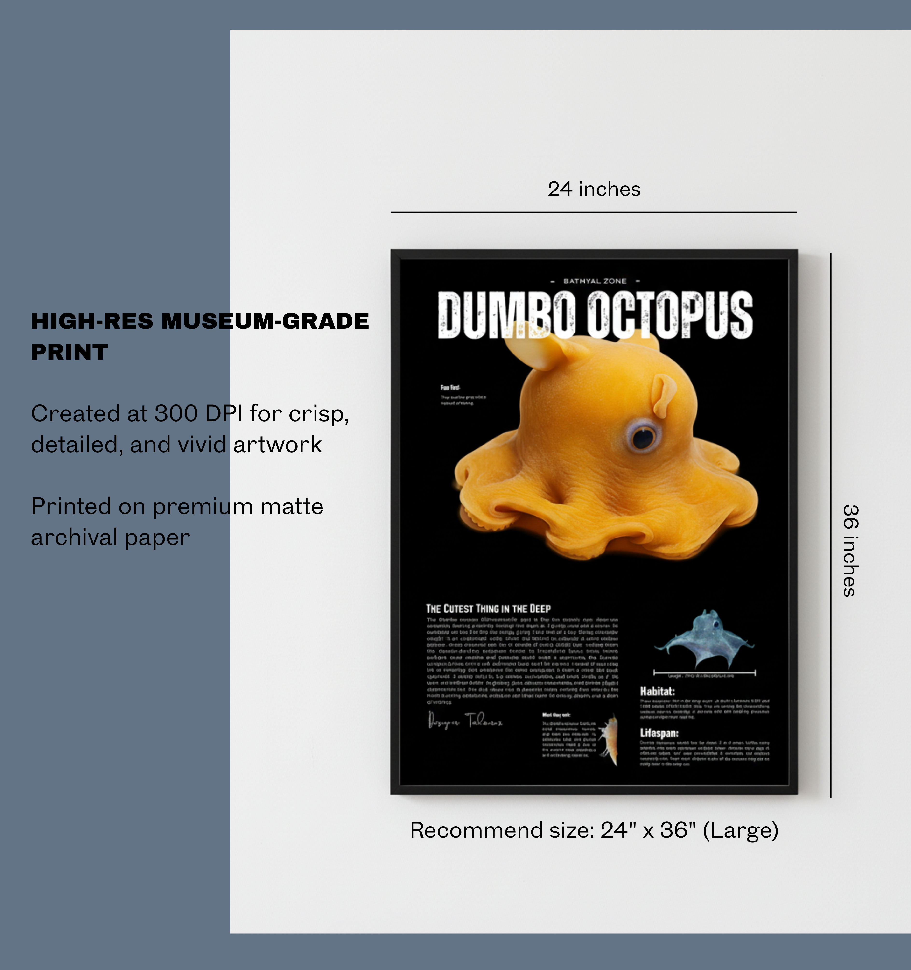 Dumbo Octopus Poster | Deep-Sea Cephalopod Anatomy Art | Matte Finish Vertical Wall Print