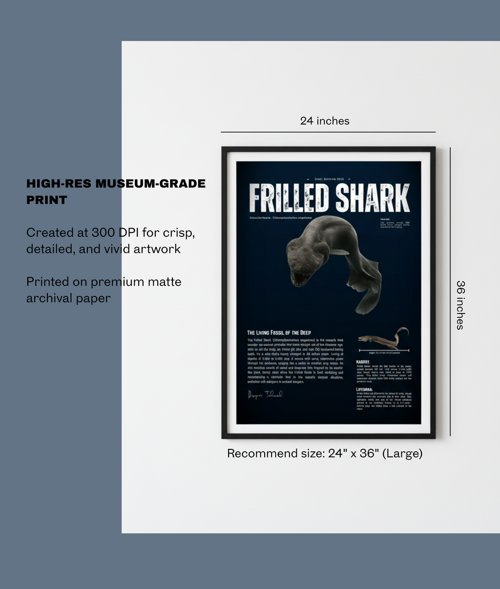 Frilled Shark Poster | Prehistoric Shark Wall Art