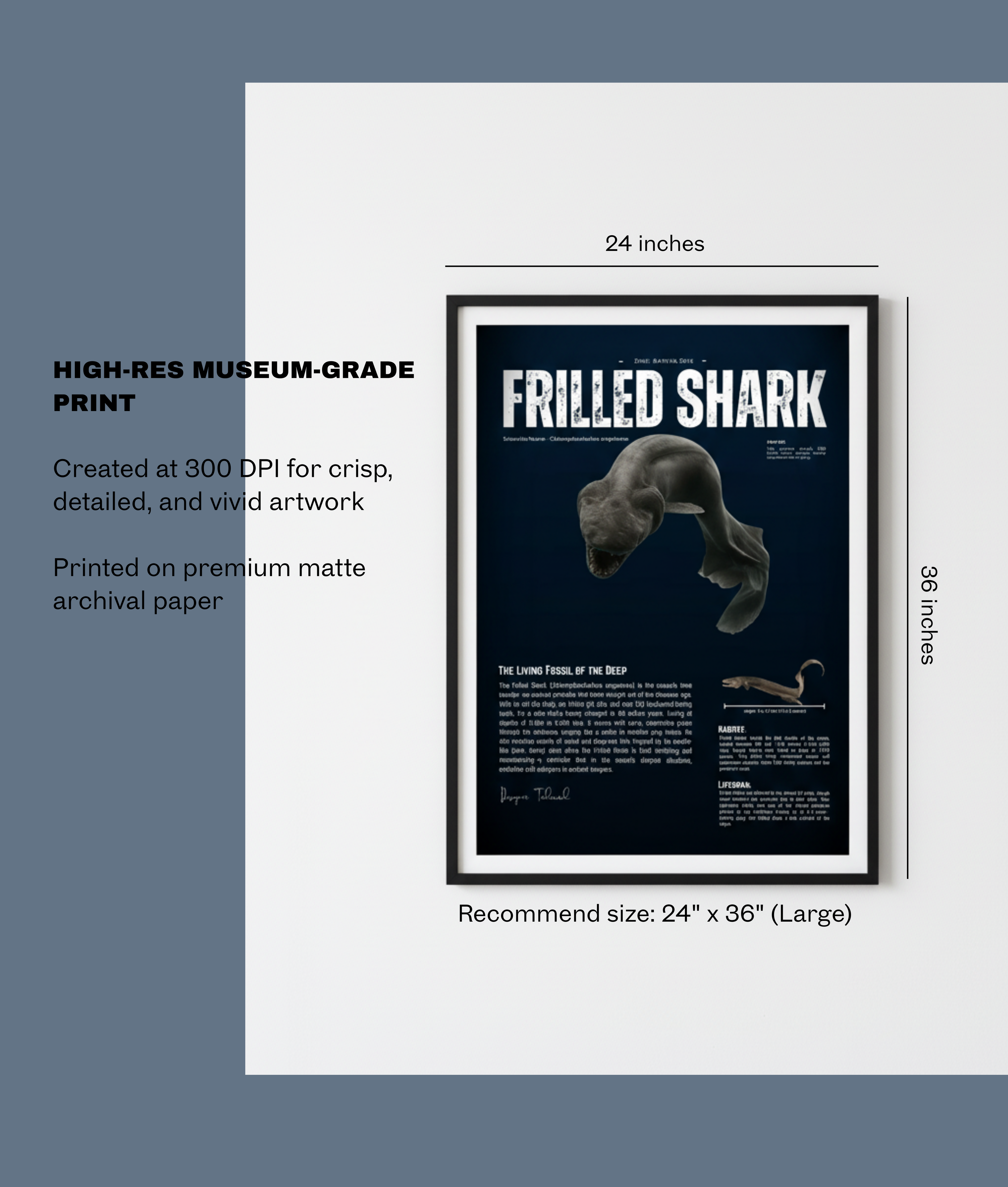 Frilled Shark Scientific Illustration Poster | Deep-Sea Anatomy Wall Art | Marine Biology Vertical Print