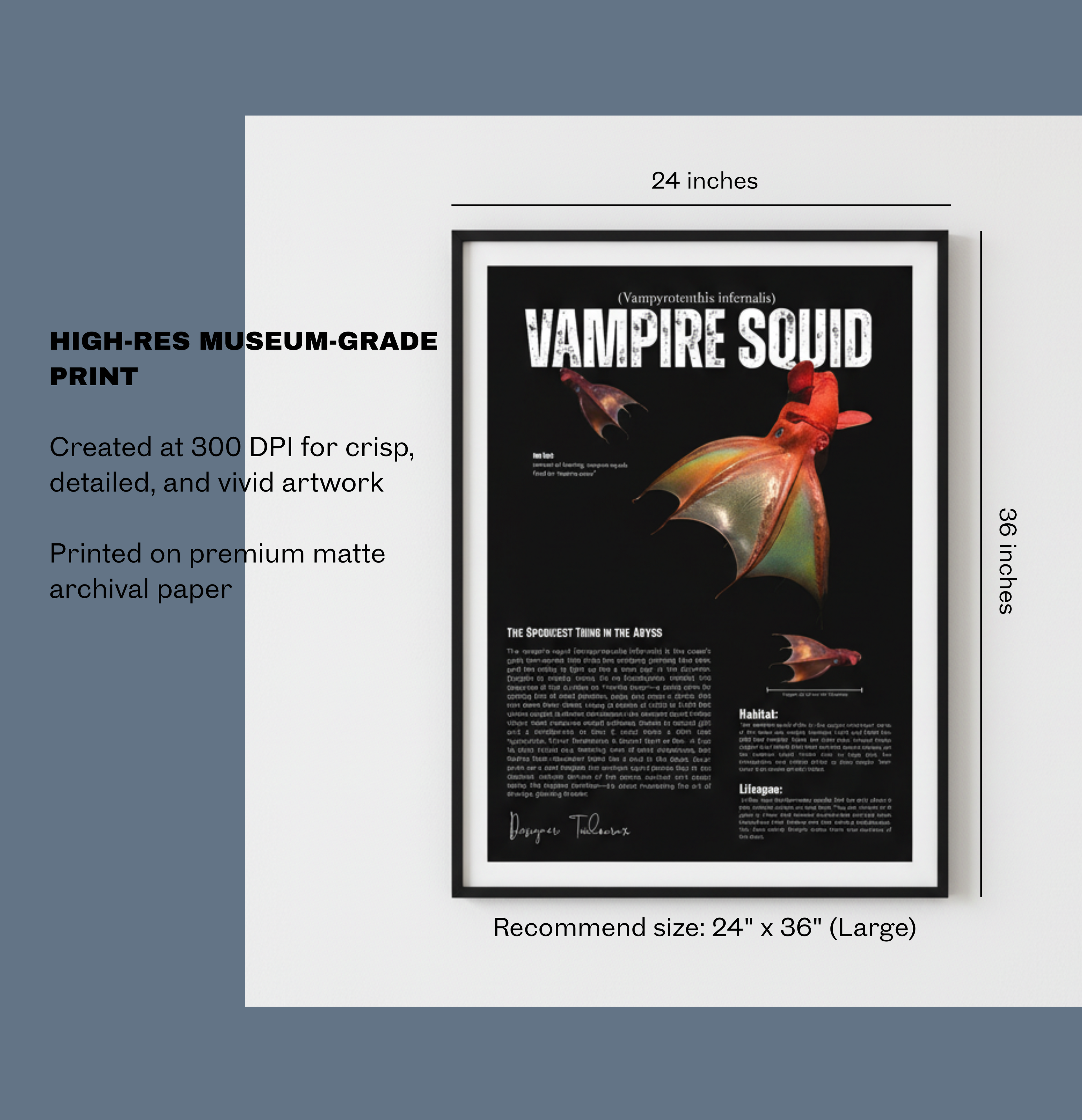 Vampire Squid Poster | Deep Sea Cephalopod Anatomy Wall Art | Matte Vertical Print
