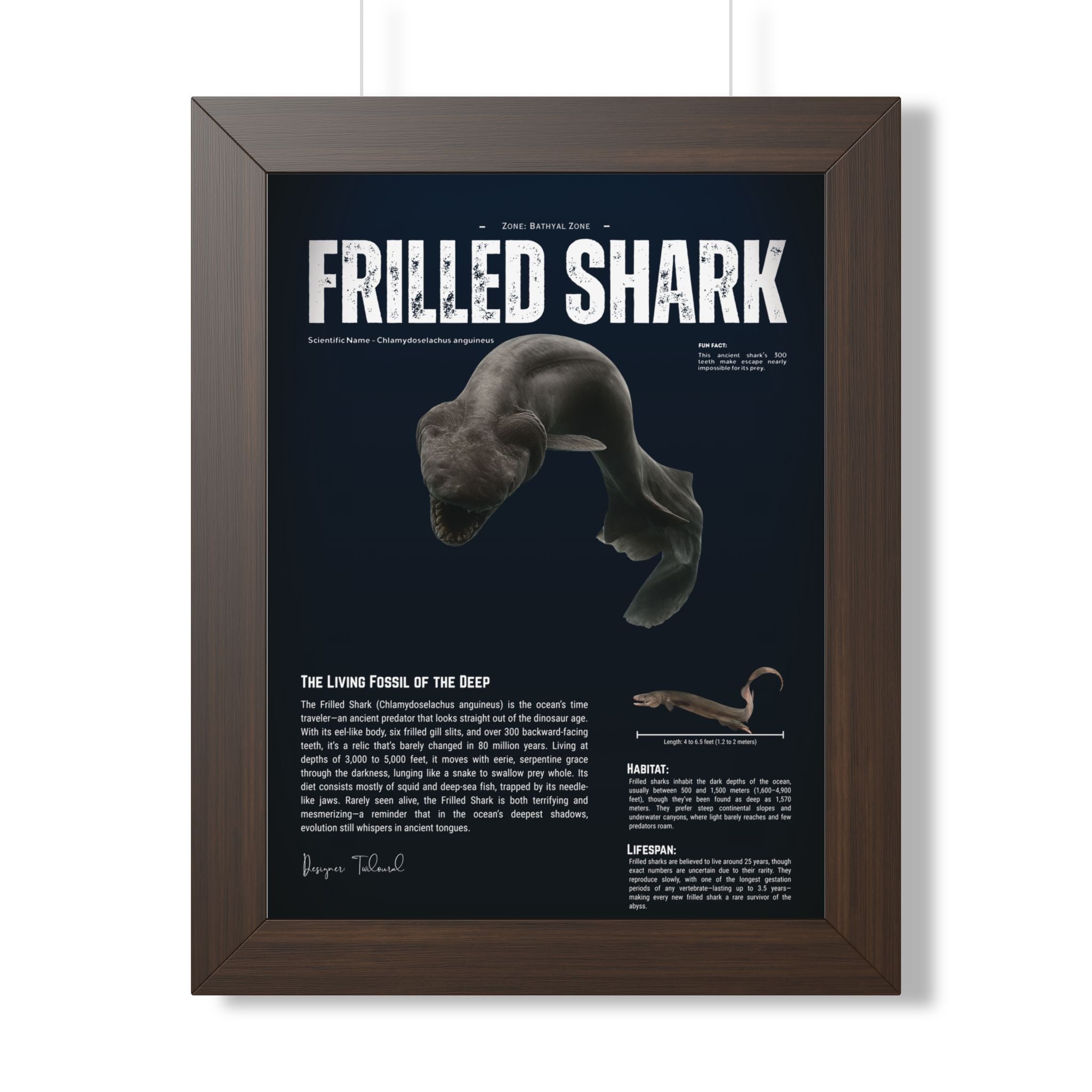 Frilled Shark Framed Poster | Prehistoric Shark Wall Art