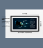 Barreleye Fish Poster | Deep-Sea Anatomy Wall Art