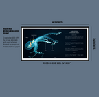 Glass Octopus Poster | Transparent Deep-Sea Wall Art