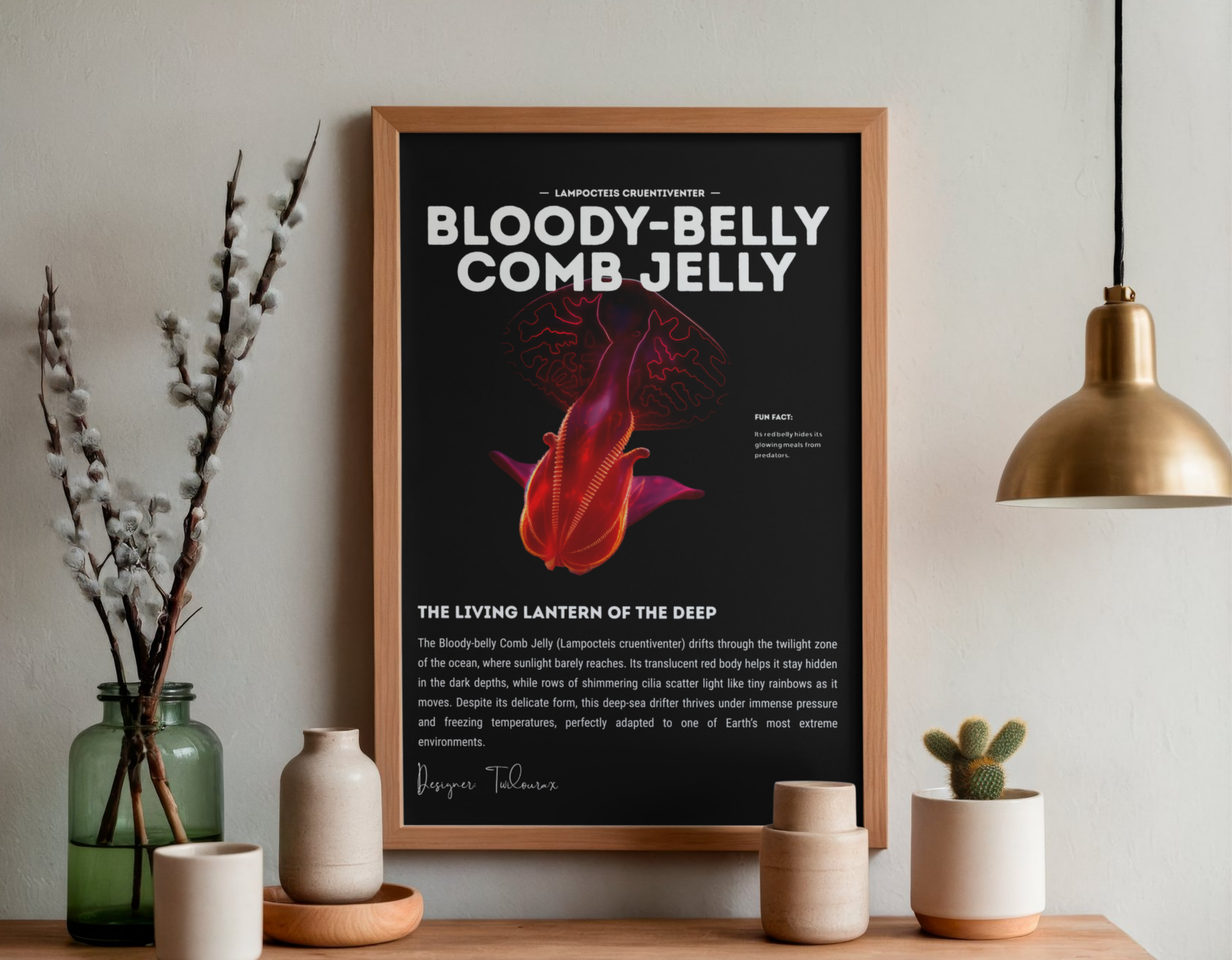 Bloody-Belly Comb Jelly Poster | Deep-Sea Ctenophore Anatomy Wall Art | Marine Biology Print