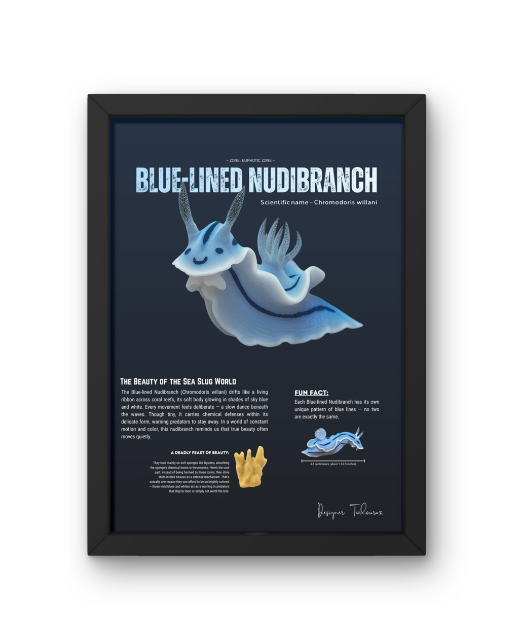 Blue-Lined Nudibranch Matte Poster | Deep-Sea Marine Creature Wall Art | Scientific Illustration | Ocean Biology Educational Print