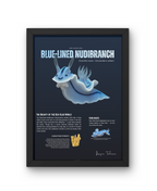 Blue-Lined Nudibranch Matte Poster | Deep-Sea Marine Creature Wall Art | Scientific Illustration | Ocean Biology Educational Print