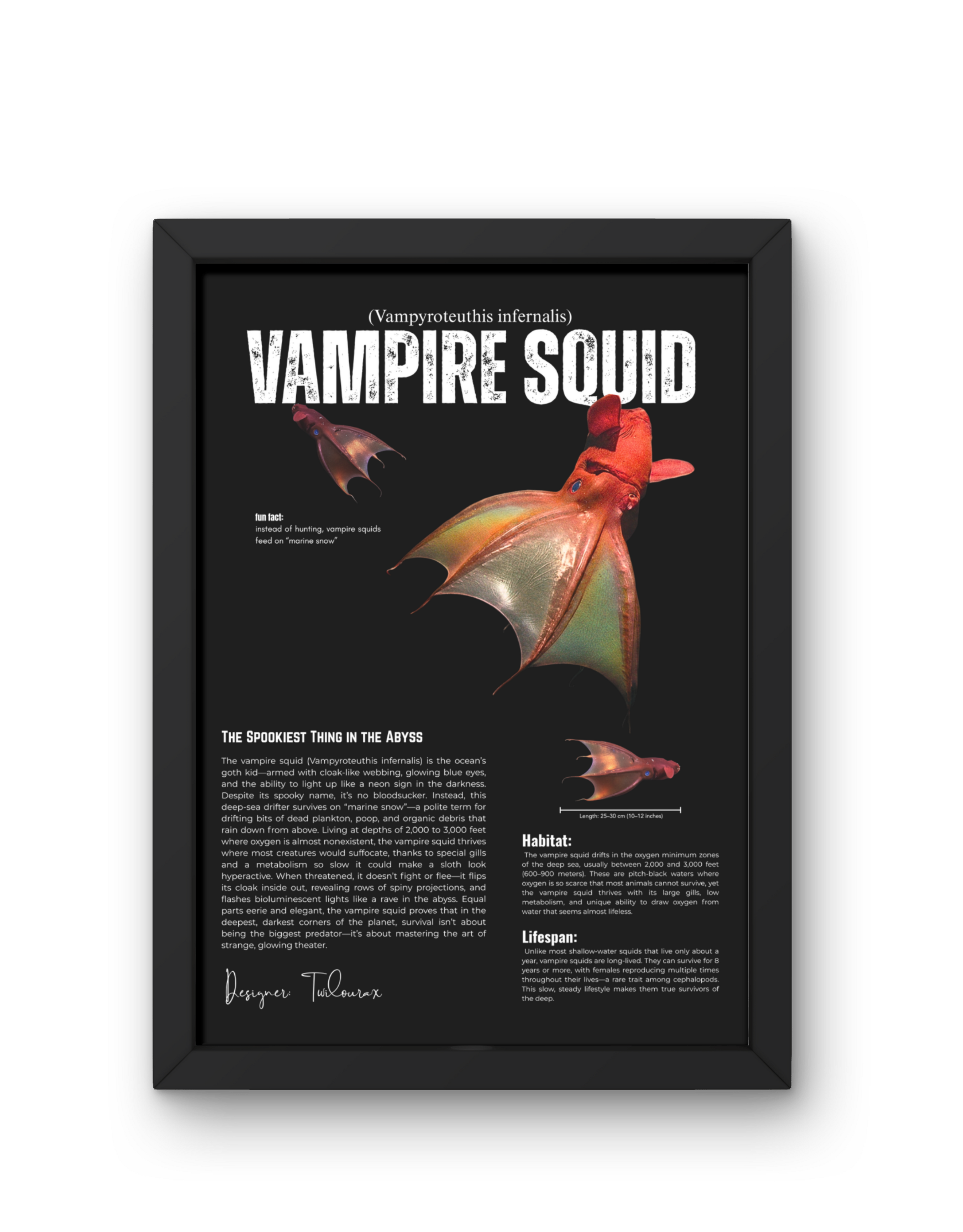 Vampire Squid Poster | Deep Sea Cephalopod Anatomy Wall Art | Matte Vertical Print