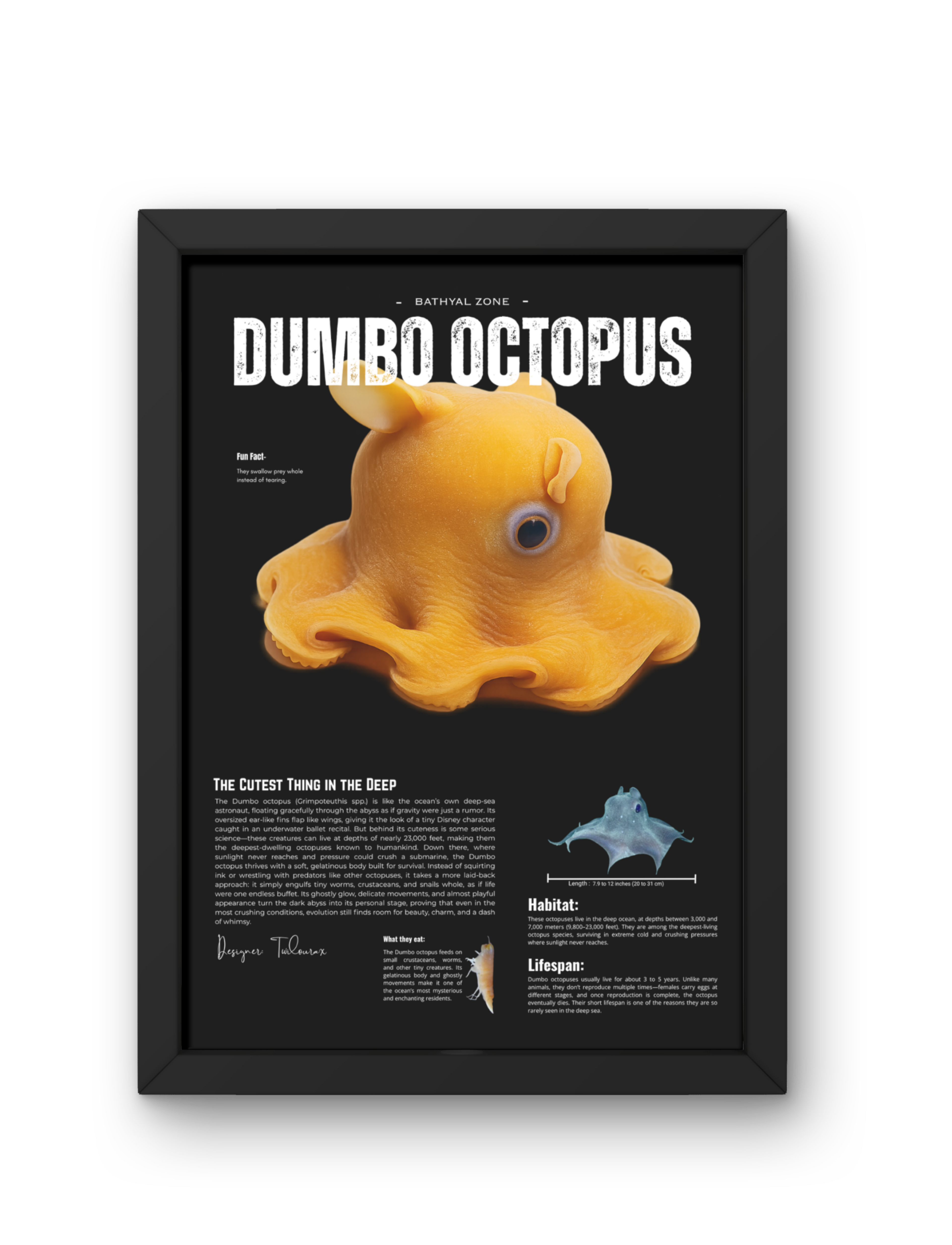 Dumbo Octopus Poster | Deep-Sea Cephalopod Anatomy Art | Matte Finish Vertical Wall Print