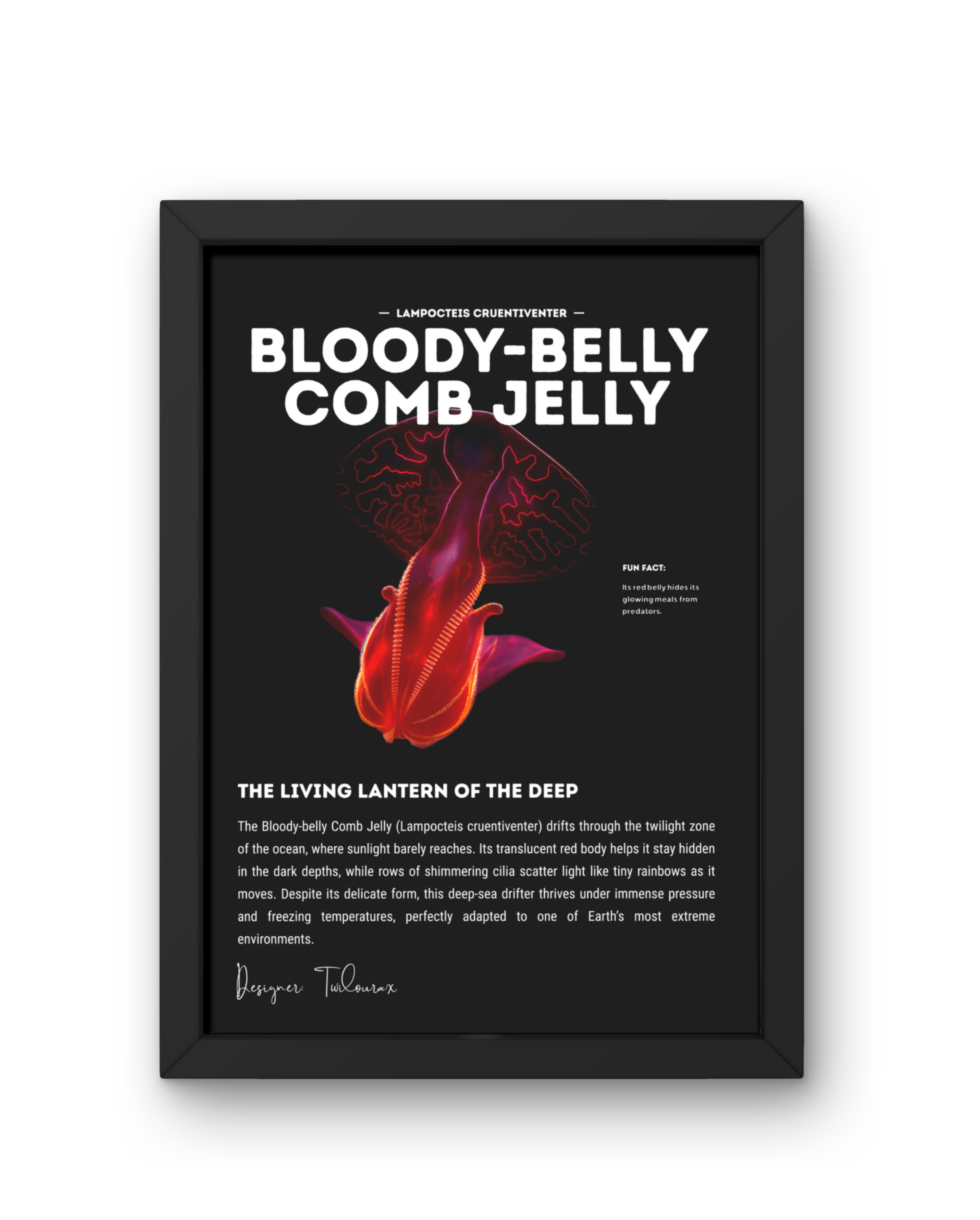 Bloody-Belly Comb Jelly Poster | Deep-Sea Ctenophore Anatomy Wall Art | Marine Biology Print