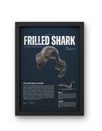 Frilled Shark Poster | Prehistoric Shark Wall Art