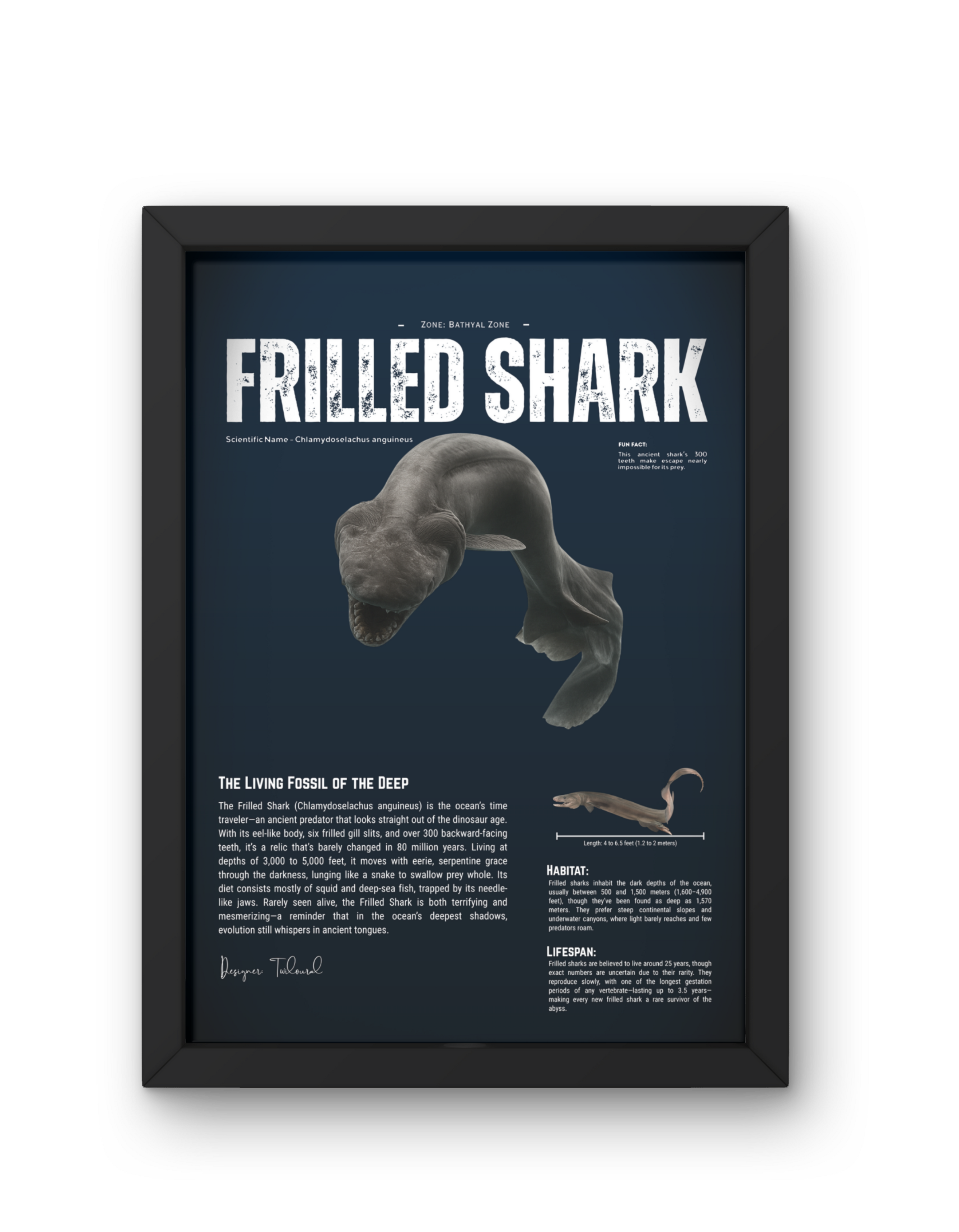 Frilled Shark Scientific Illustration Poster | Deep-Sea Anatomy Wall Art | Marine Biology Vertical Print