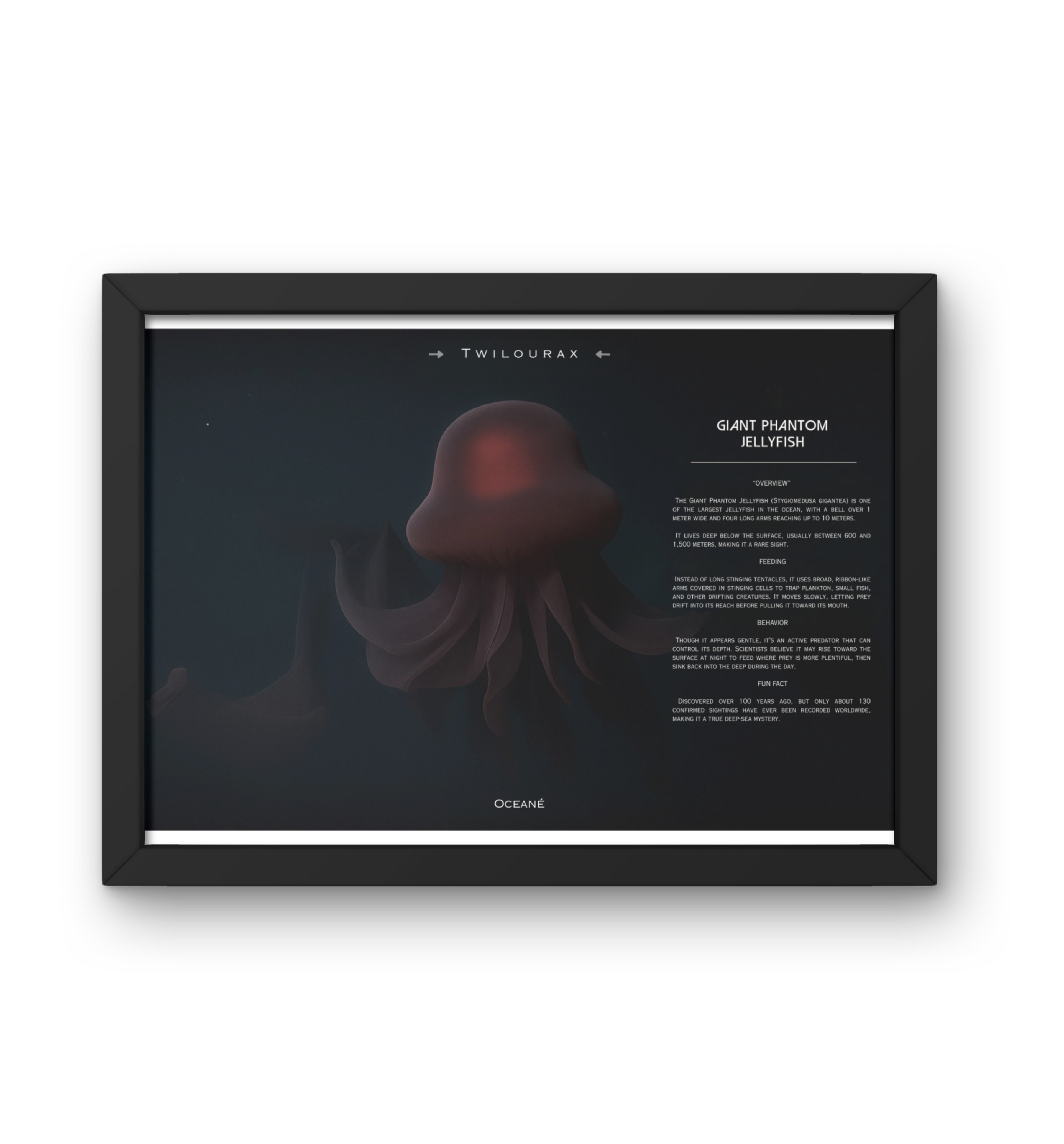 Giant Phantom Jellyfish Horizontal Poster | Deep-Sea Enigma Wall Art | Matte Scientific Illustration