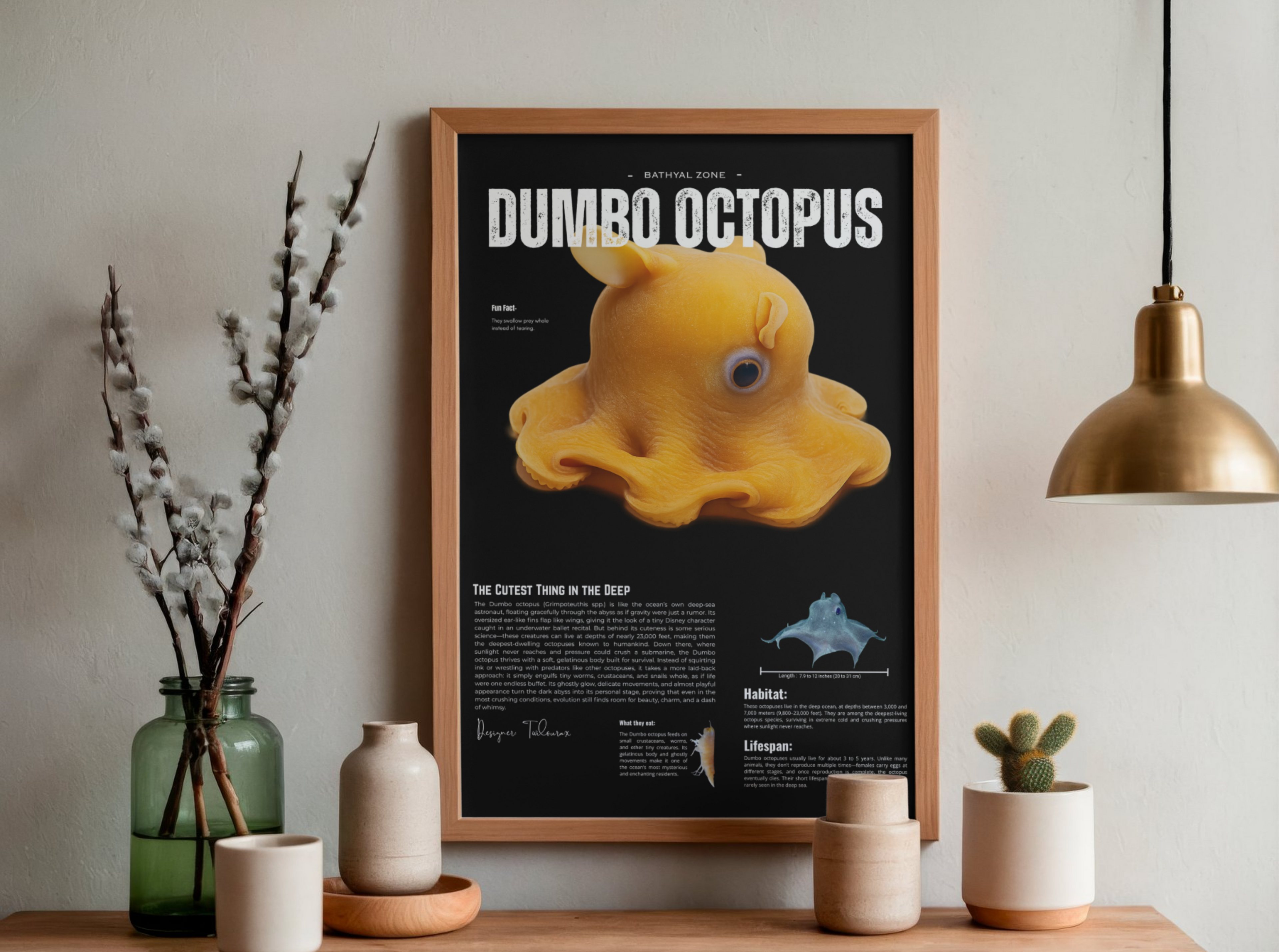 Dumbo Octopus Poster | Deep-Sea Cephalopod Anatomy Art | Matte Finish Vertical Wall Print