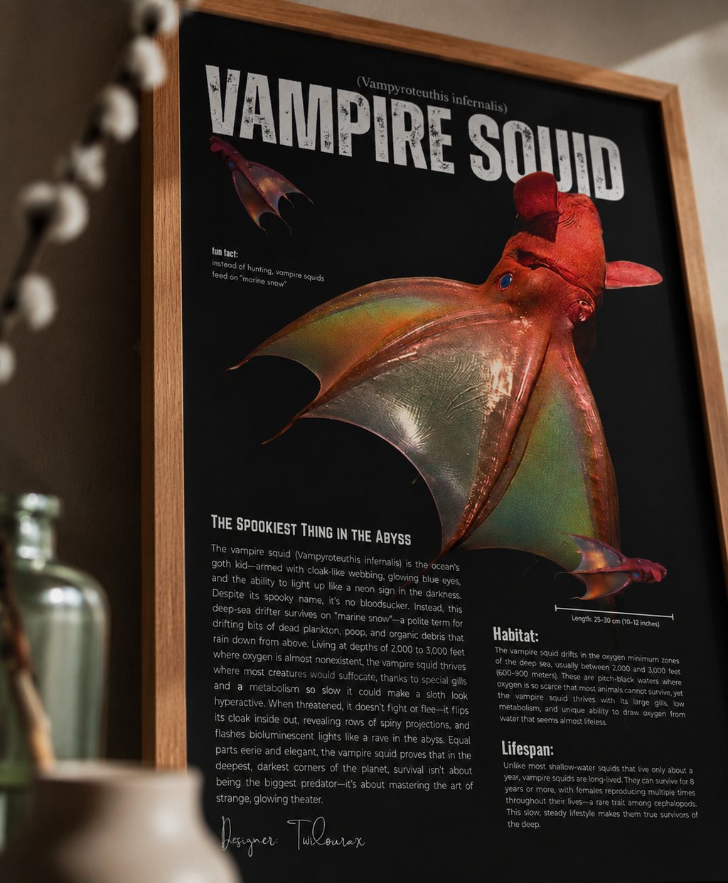 Vampire Squid Poster | Marine Biology Wall Art