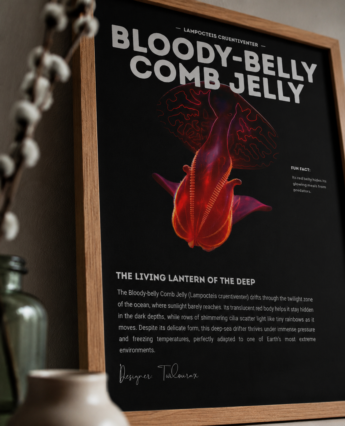 Bloody-Belly Comb Jelly Poster | Marine Biology Wall Art