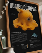 Dumbo Octopus Poster | Marine Biology Wall Art