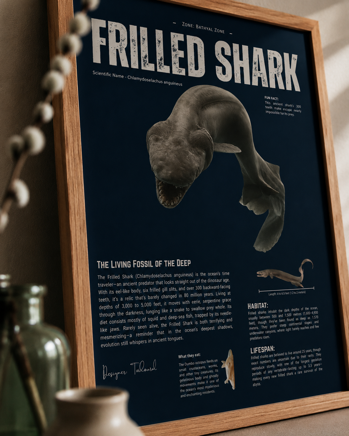 Frilled Shark Poster | Prehistoric Shark Wall Art