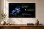 Leafy Sea Dragon Poster | Marine Biology Wall Art